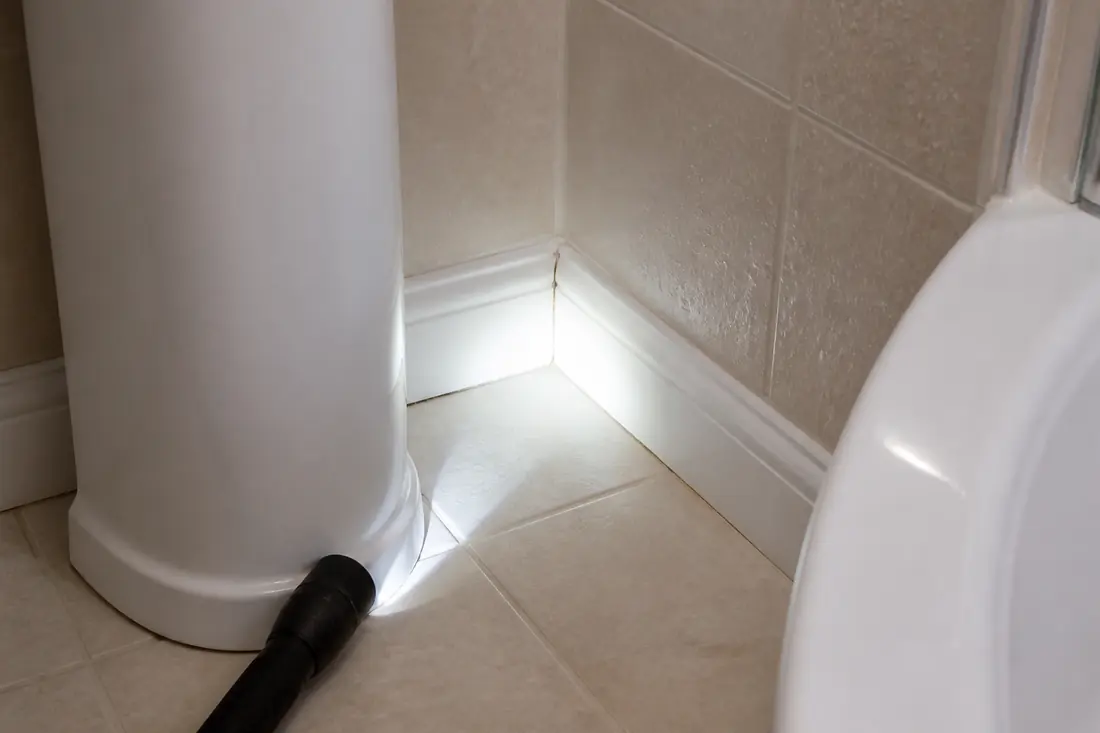 Silverfish, Earwigs and Occasional Invaders project