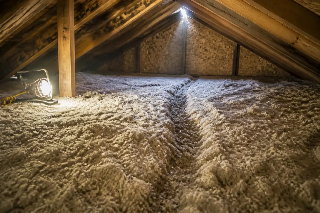 Rat and Mouse Control by Frisco Pest Pros