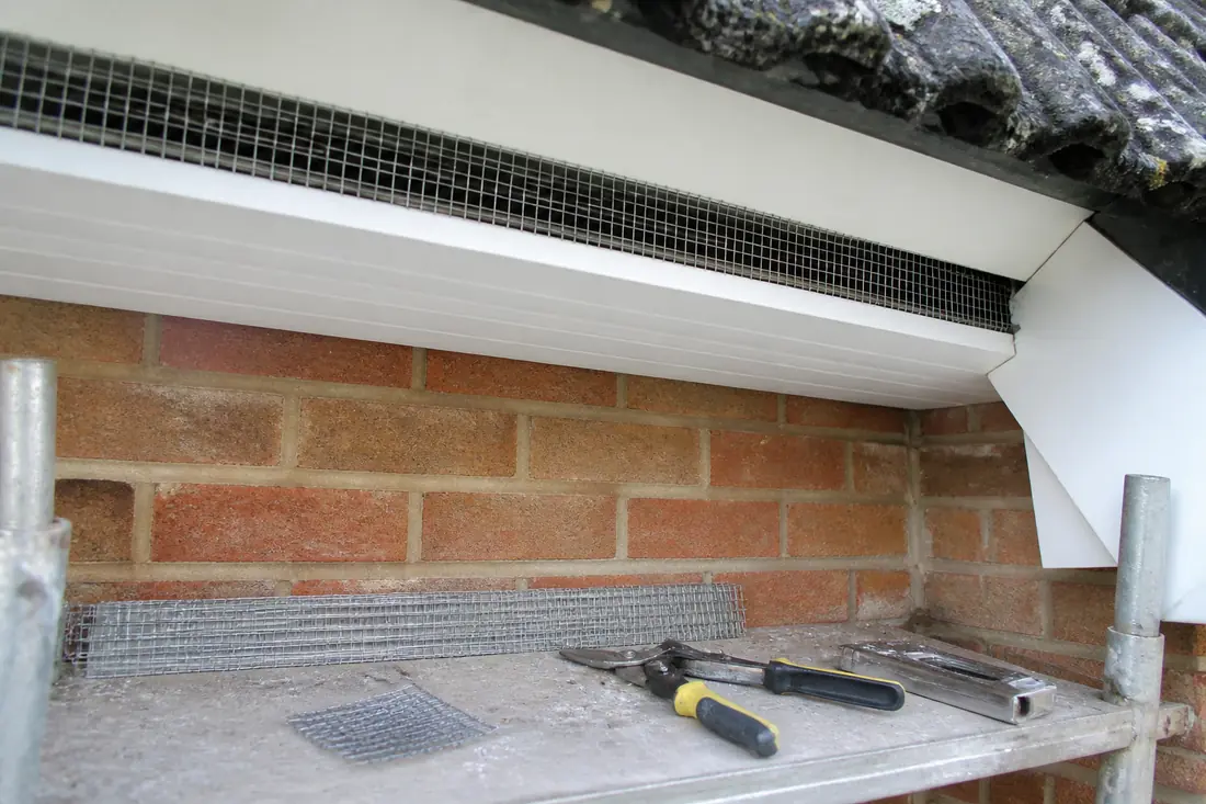 Rodent Exclusion and Proofing project