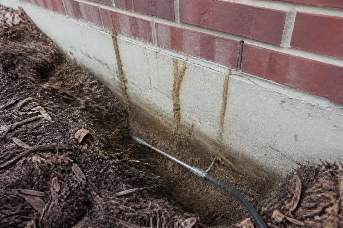 Termite Control project