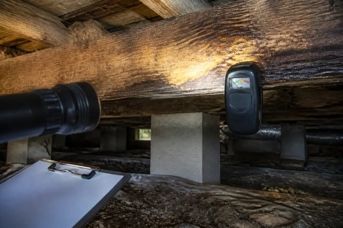 Termite Inspection project