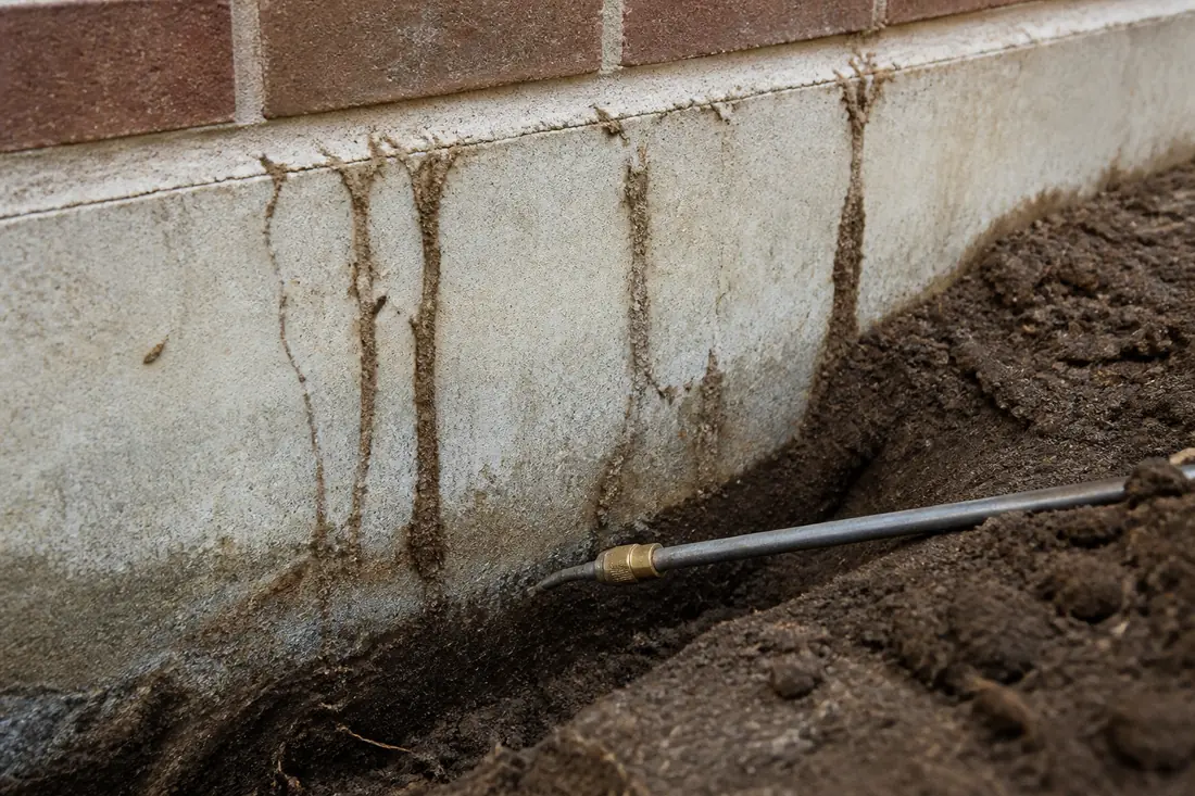 Termite Treatment by Frisco Pest Pros
